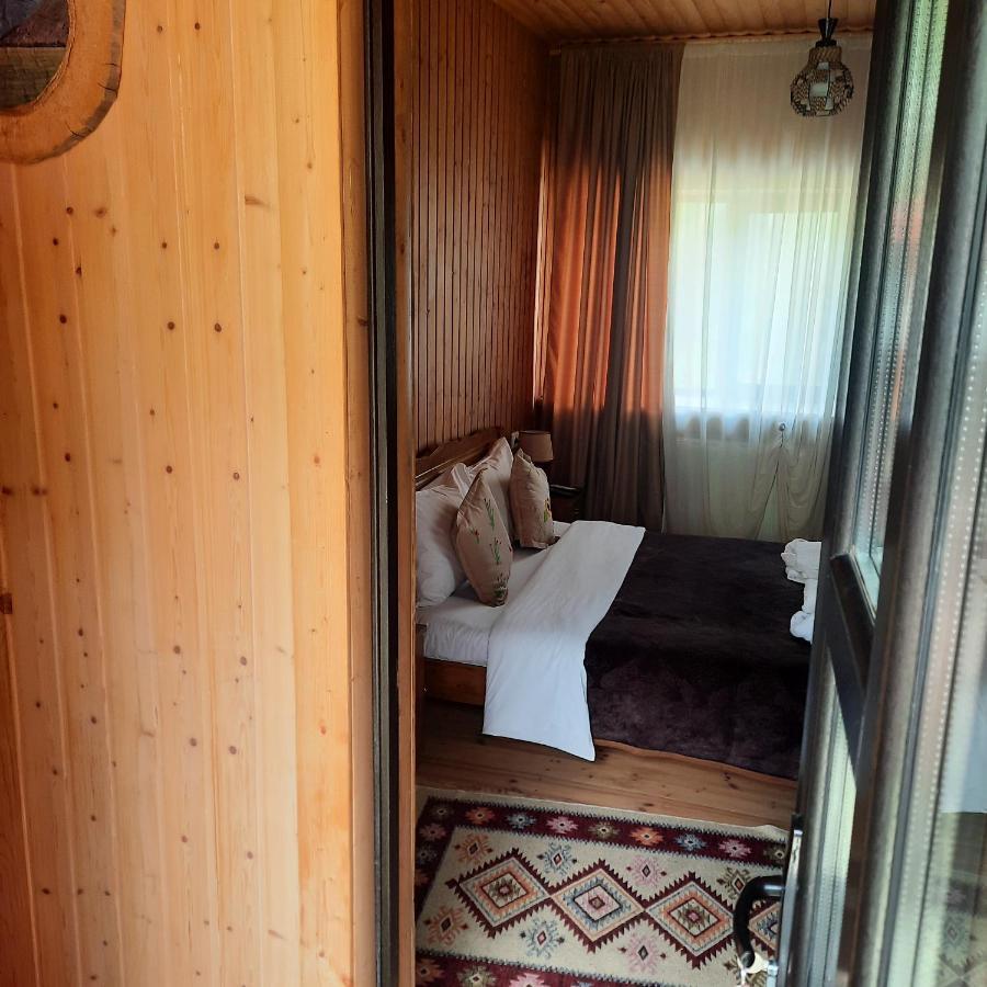 Bana Hotel Kazbegi Exterior foto